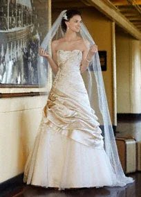 David's Bridal Satin Ball Gown with Appliques and Tulle Underlay